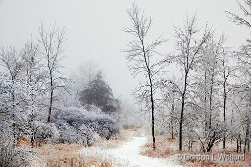 After An Ice Storm_12216.jpg - Old Quarry Trail photographed at Ottawa, Ontario - the capital of Canada.